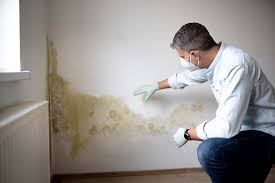  , USA Mold Removal & Remediation Pros